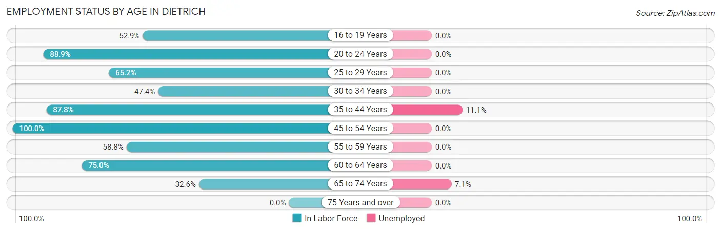 Employment Status by Age in Dietrich