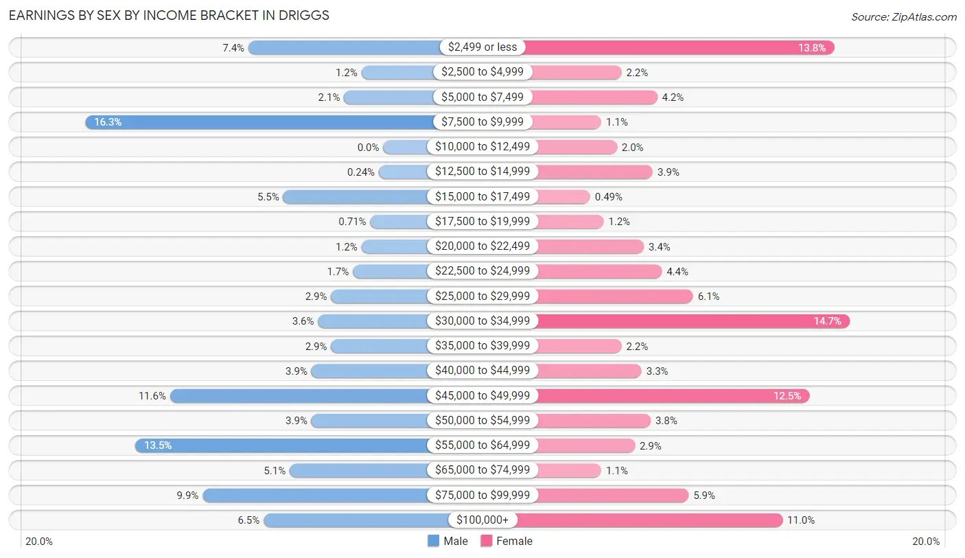 Earnings by Sex by Income Bracket in Driggs