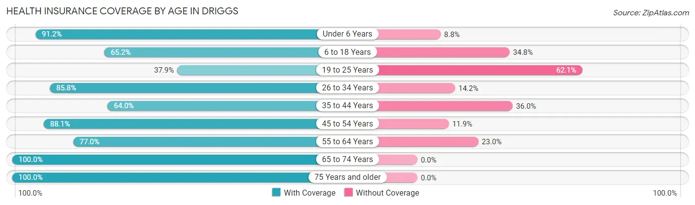 Health Insurance Coverage by Age in Driggs