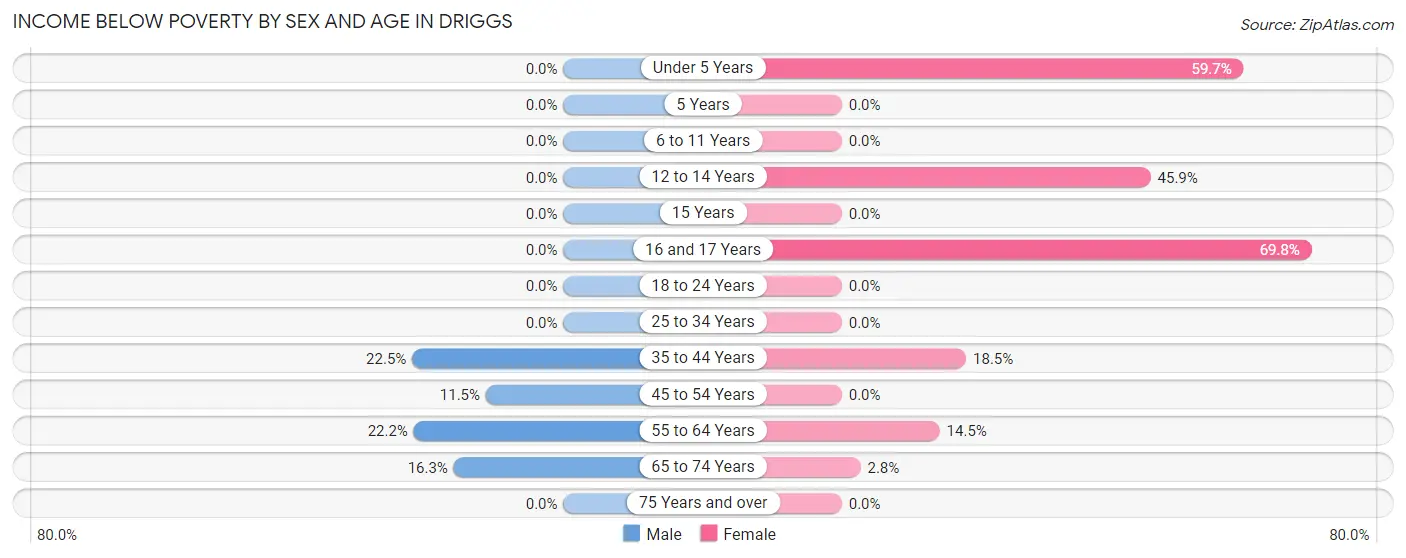 Income Below Poverty by Sex and Age in Driggs