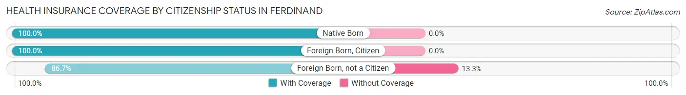 Health Insurance Coverage by Citizenship Status in Ferdinand