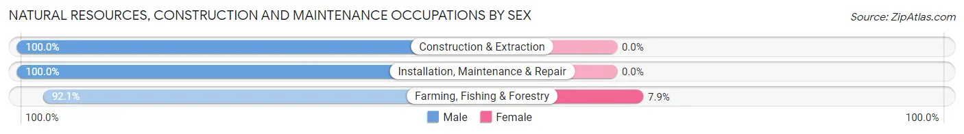 Natural Resources, Construction and Maintenance Occupations by Sex in Filer