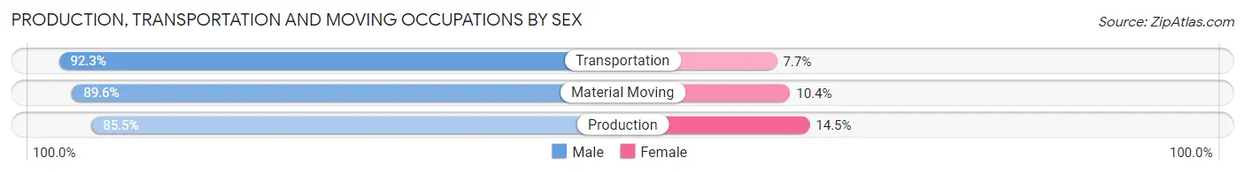 Production, Transportation and Moving Occupations by Sex in Filer