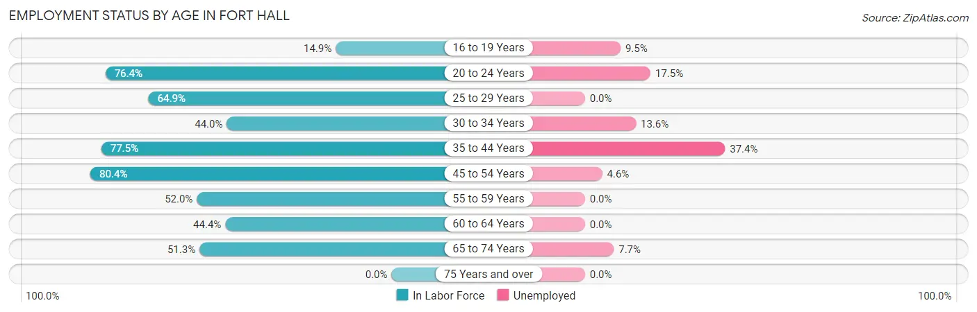 Employment Status by Age in Fort Hall