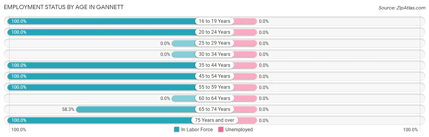 Employment Status by Age in Gannett