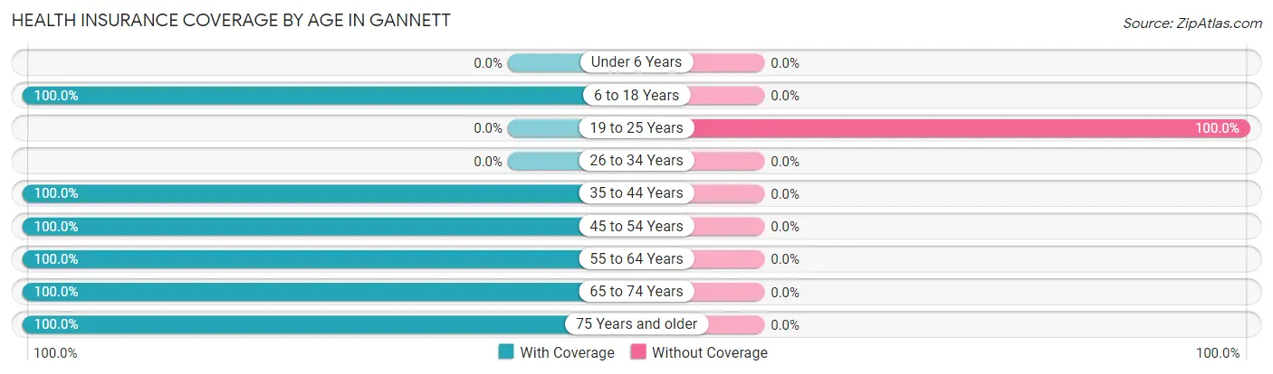 Health Insurance Coverage by Age in Gannett