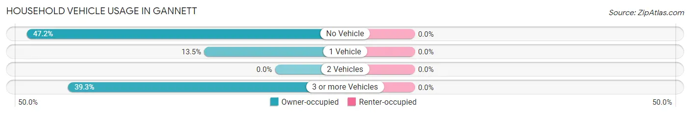 Household Vehicle Usage in Gannett