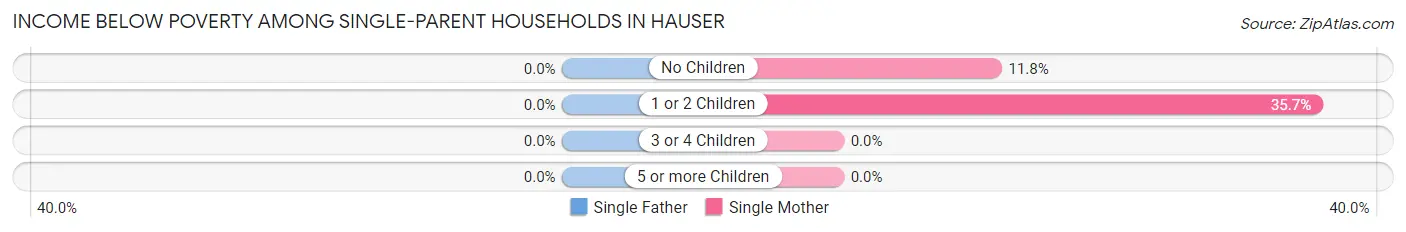 Income Below Poverty Among Single-Parent Households in Hauser