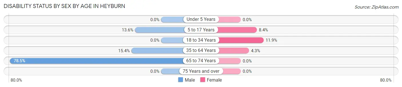 Disability Status by Sex by Age in Heyburn