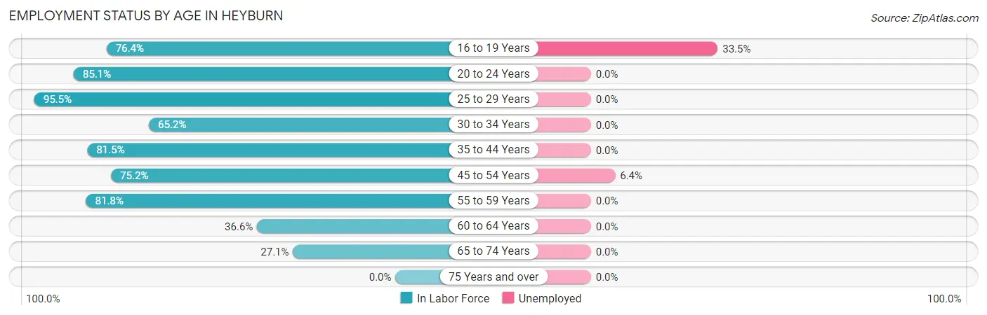 Employment Status by Age in Heyburn