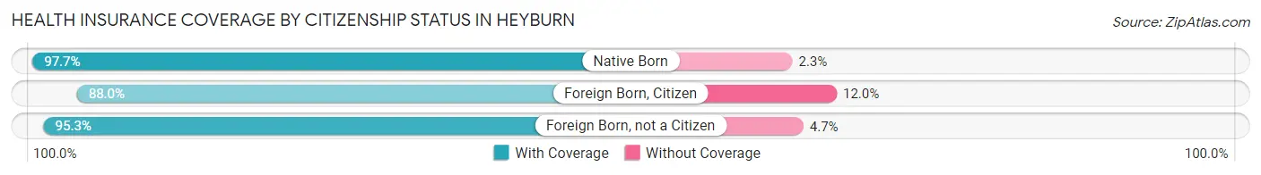 Health Insurance Coverage by Citizenship Status in Heyburn