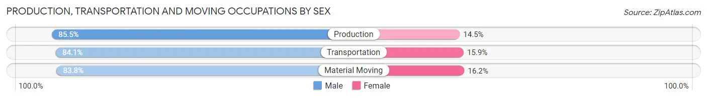 Production, Transportation and Moving Occupations by Sex in Heyburn