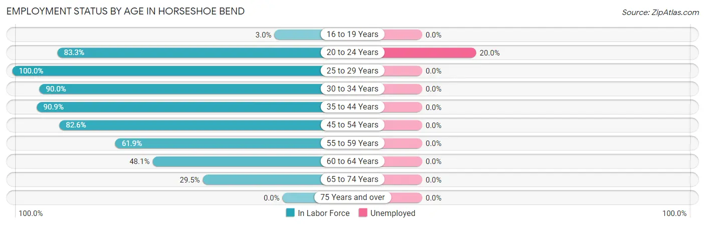 Employment Status by Age in Horseshoe Bend
