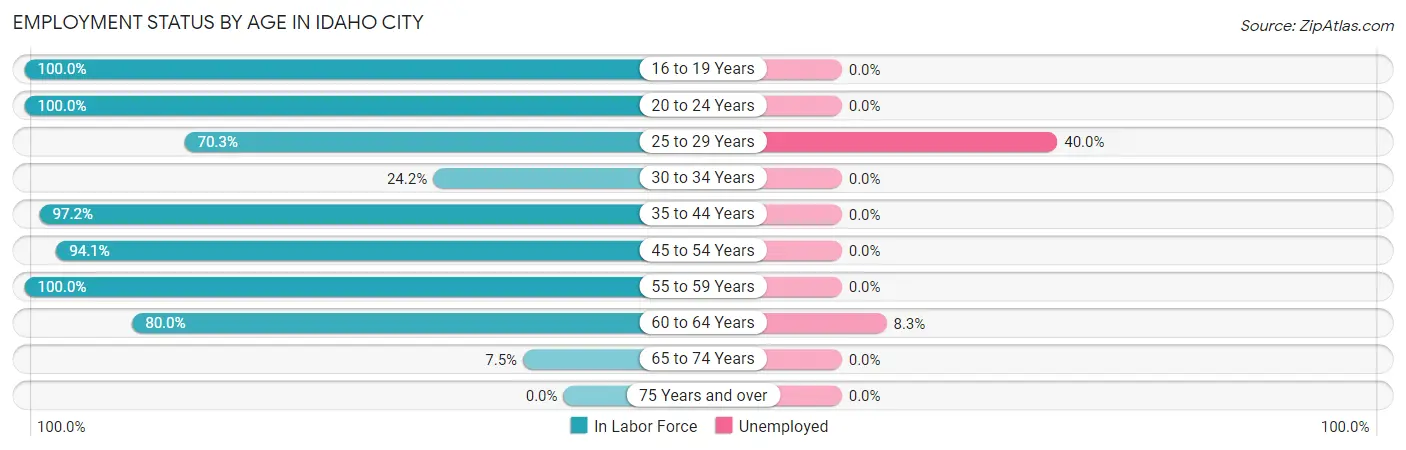 Employment Status by Age in Idaho City
