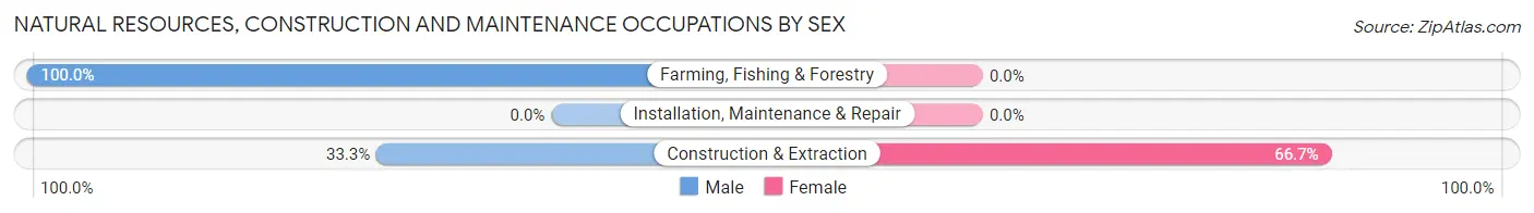 Natural Resources, Construction and Maintenance Occupations by Sex in Idaho City