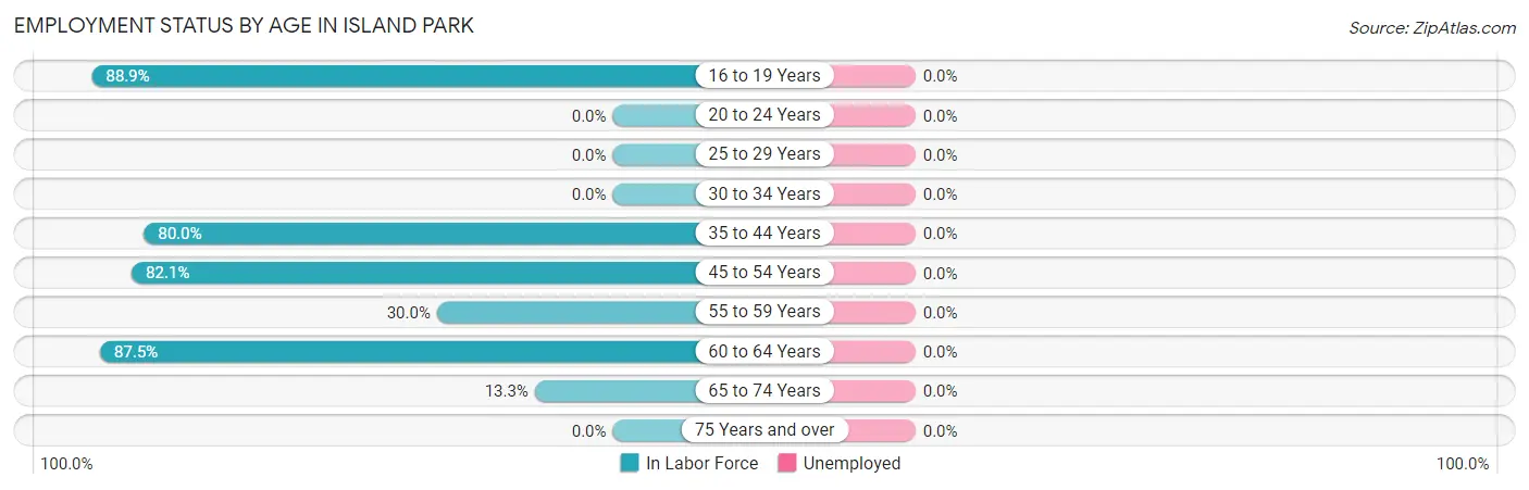 Employment Status by Age in Island Park