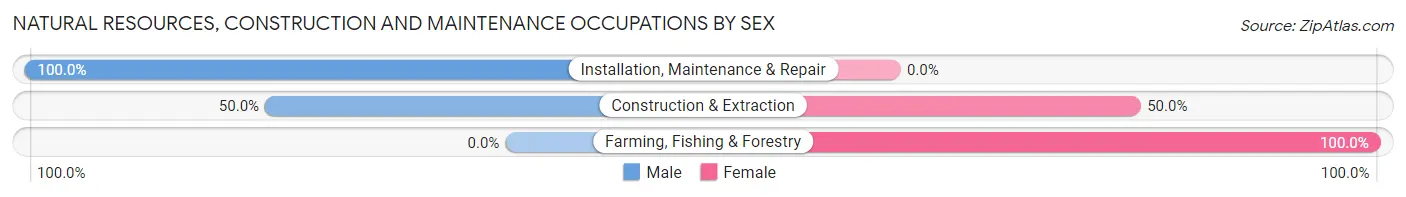 Natural Resources, Construction and Maintenance Occupations by Sex in Island Park