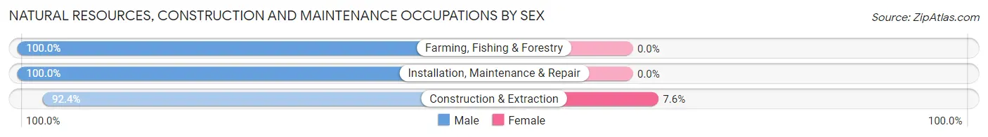 Natural Resources, Construction and Maintenance Occupations by Sex in Kuna