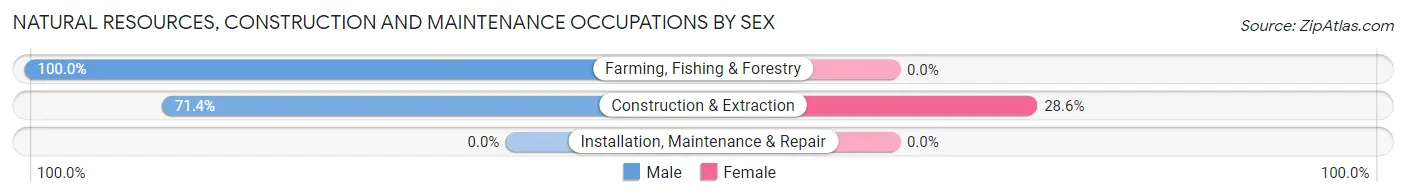 Natural Resources, Construction and Maintenance Occupations by Sex in Lava Hot Springs