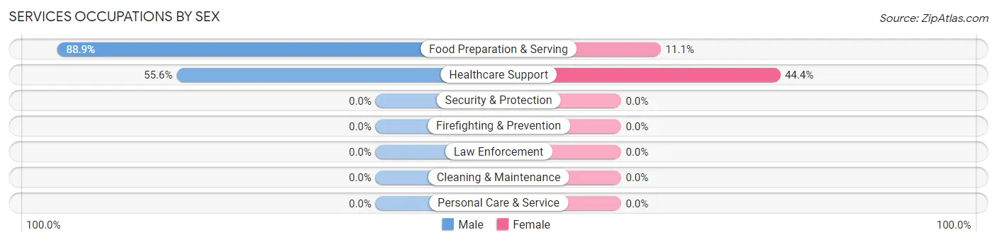 Services Occupations by Sex in Leadore