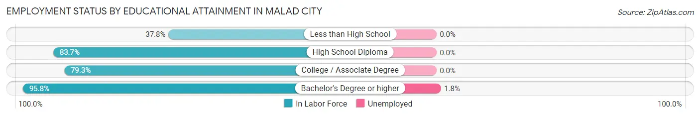 Employment Status by Educational Attainment in Malad City