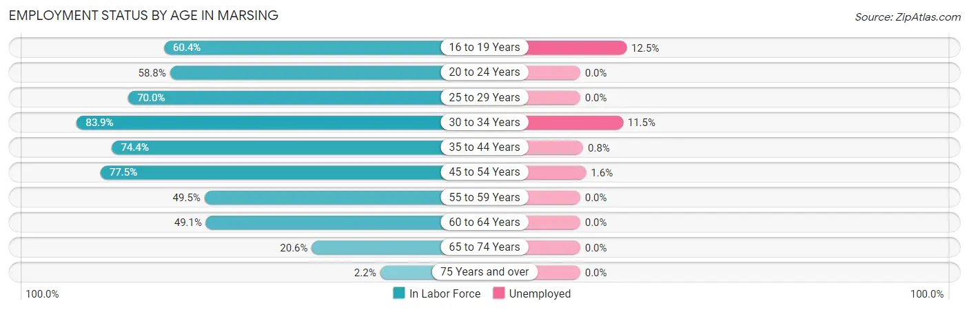 Employment Status by Age in Marsing