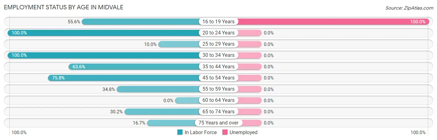 Employment Status by Age in Midvale