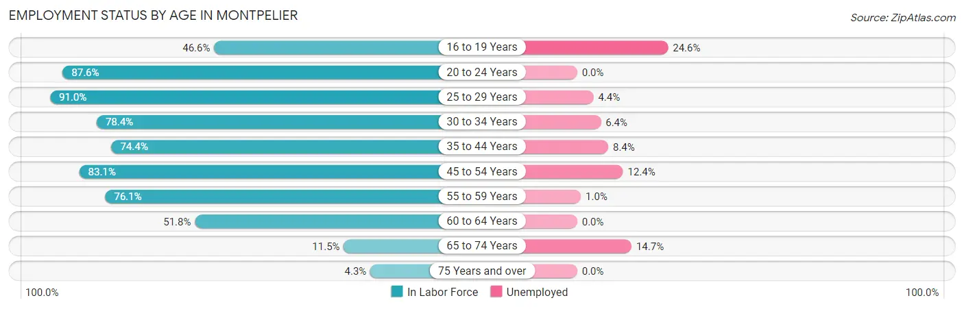 Employment Status by Age in Montpelier