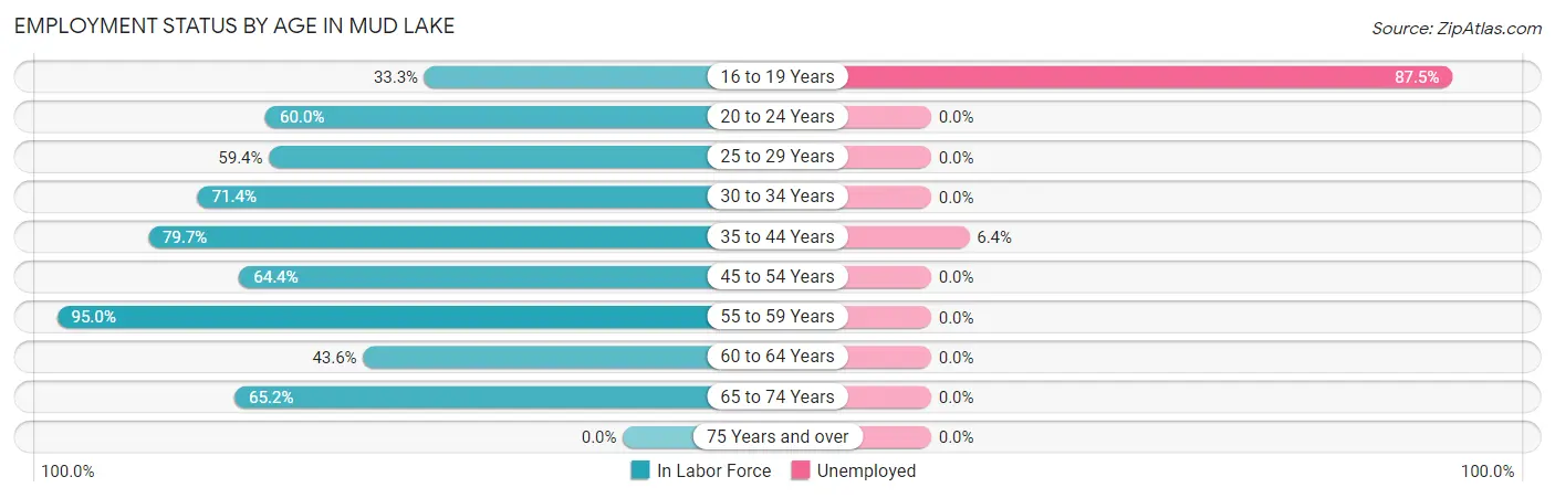Employment Status by Age in Mud Lake