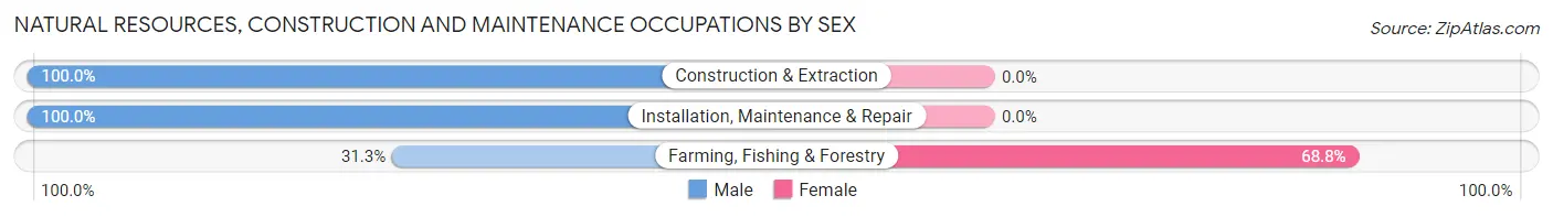 Natural Resources, Construction and Maintenance Occupations by Sex in Mud Lake