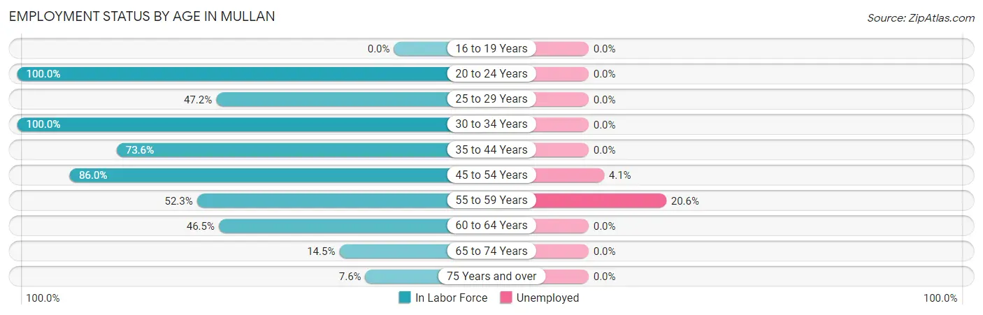 Employment Status by Age in Mullan