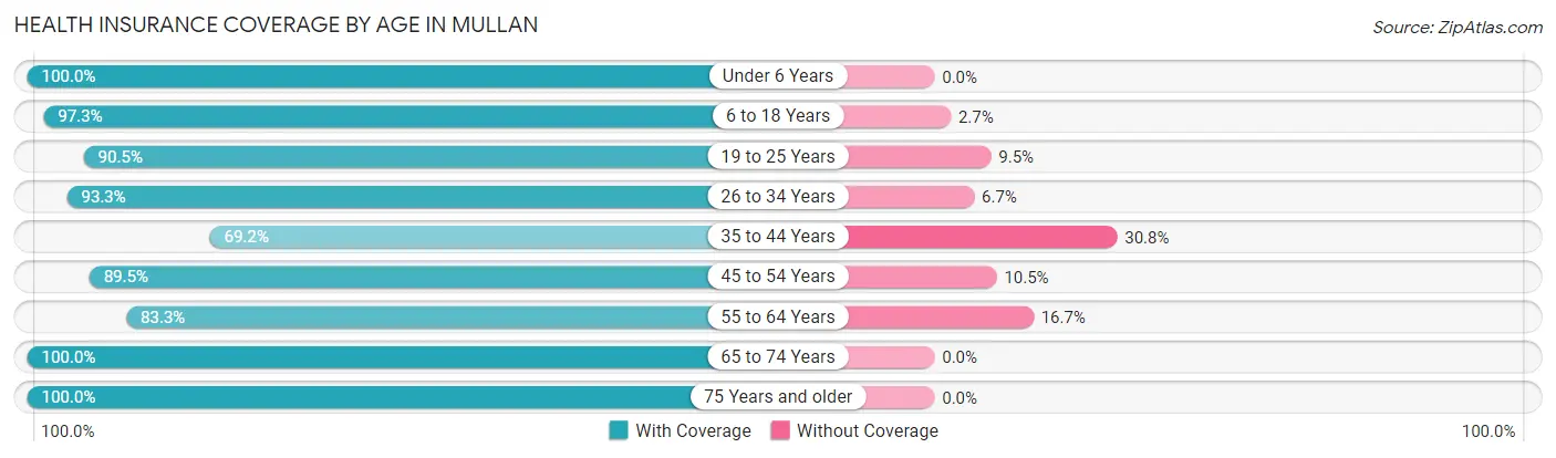 Health Insurance Coverage by Age in Mullan