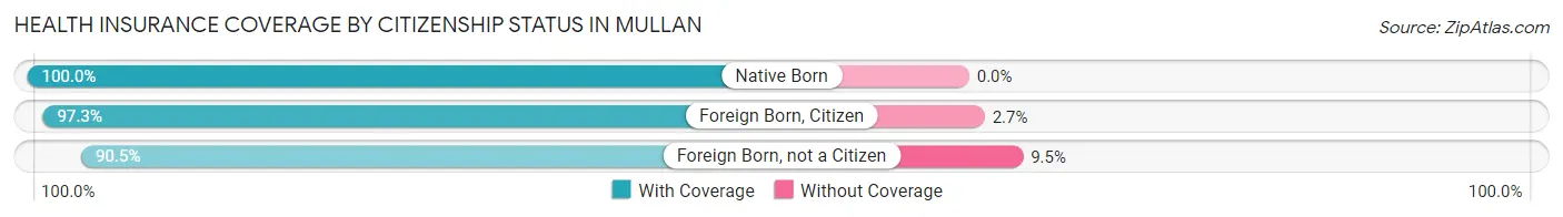 Health Insurance Coverage by Citizenship Status in Mullan