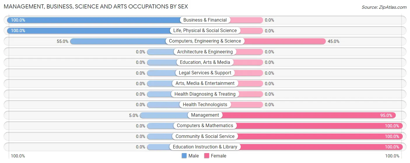 Management, Business, Science and Arts Occupations by Sex in Mullan