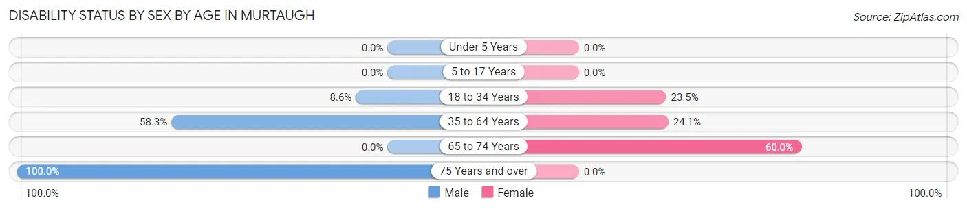 Disability Status by Sex by Age in Murtaugh