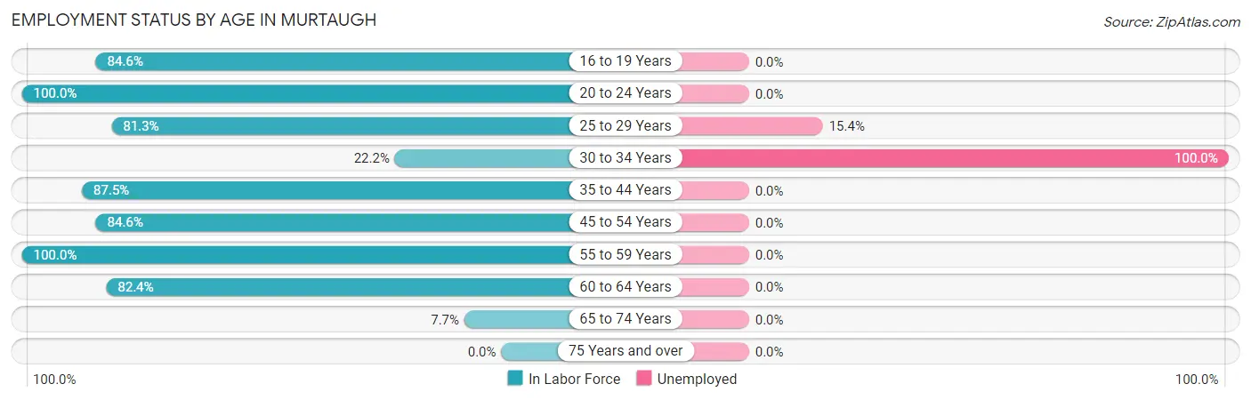 Employment Status by Age in Murtaugh