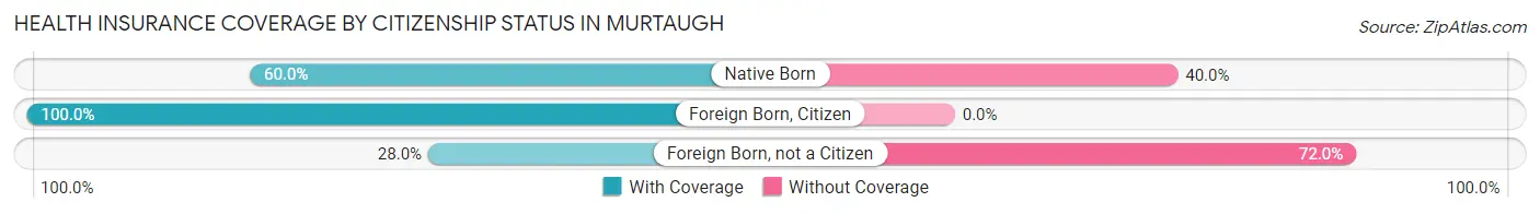 Health Insurance Coverage by Citizenship Status in Murtaugh