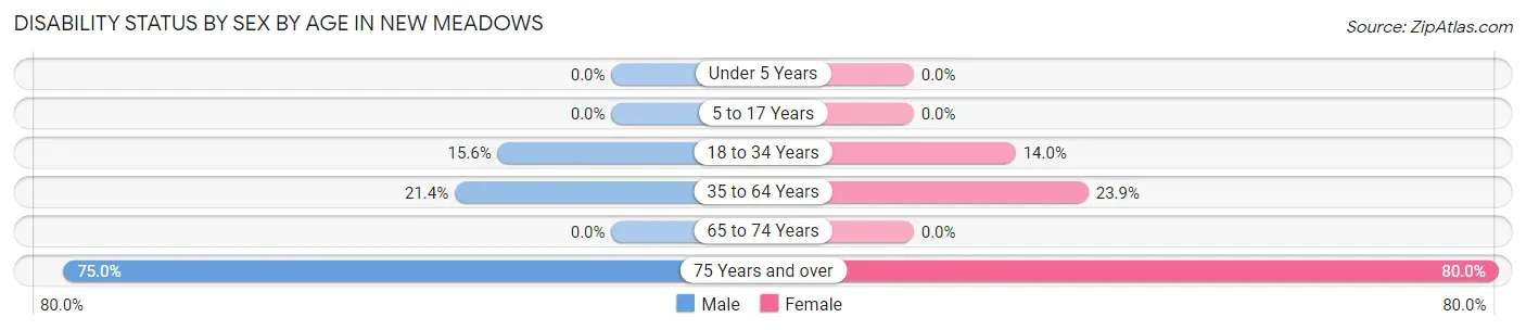Disability Status by Sex by Age in New Meadows