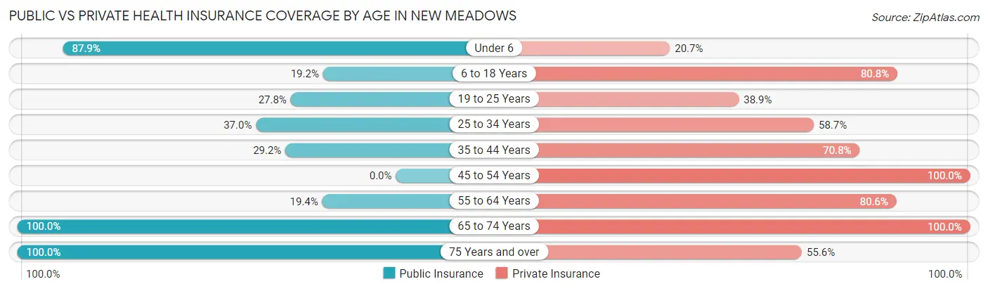 Public vs Private Health Insurance Coverage by Age in New Meadows