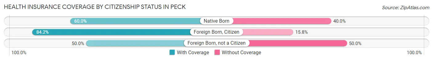 Health Insurance Coverage by Citizenship Status in Peck