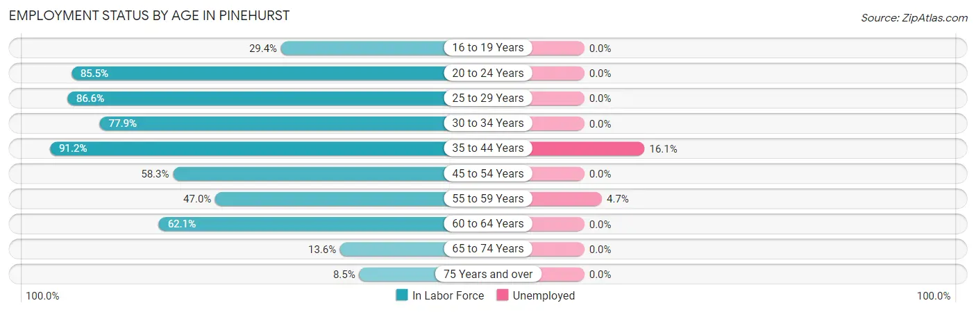 Employment Status by Age in Pinehurst