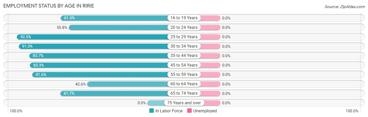 Employment Status by Age in Ririe