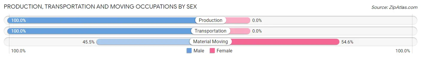 Production, Transportation and Moving Occupations by Sex in Ririe