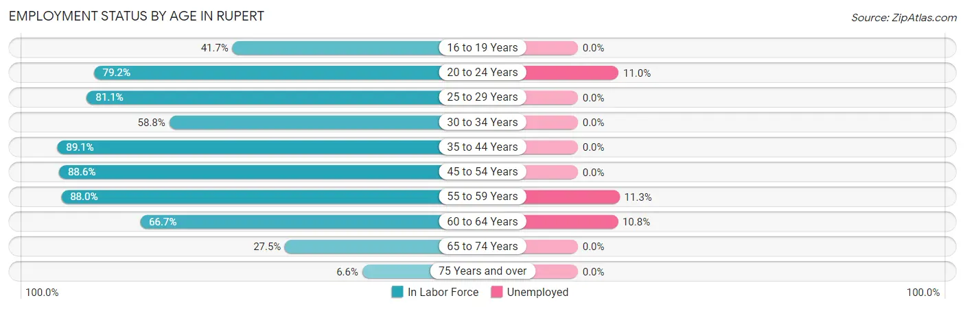Employment Status by Age in Rupert