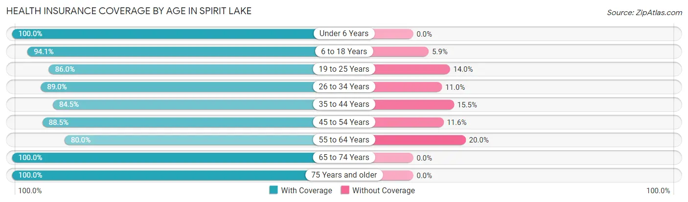Health Insurance Coverage by Age in Spirit Lake