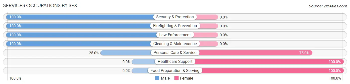 Services Occupations by Sex in Spirit Lake