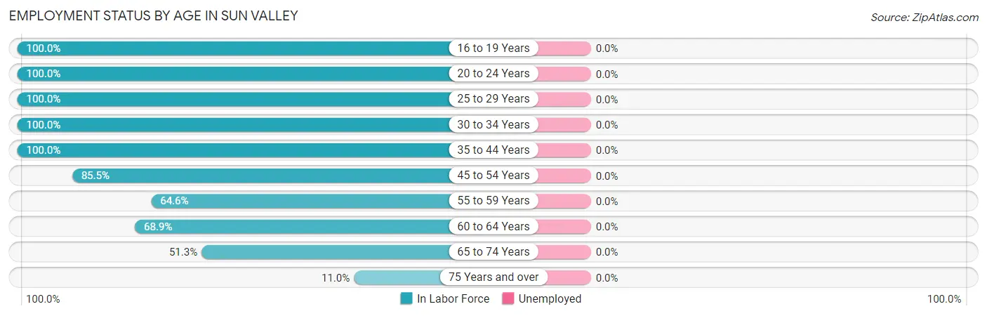 Employment Status by Age in Sun Valley