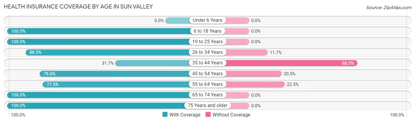 Health Insurance Coverage by Age in Sun Valley