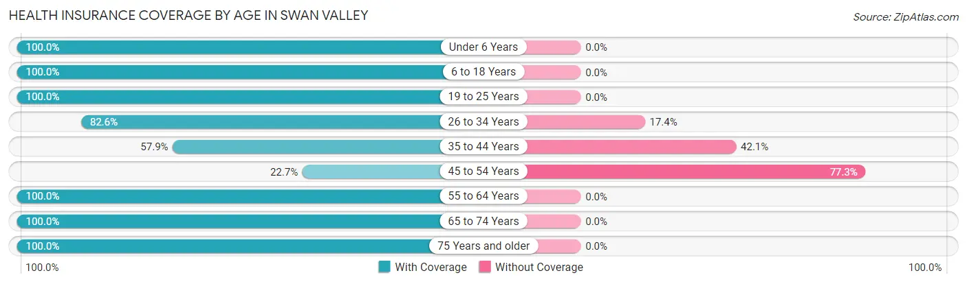 Health Insurance Coverage by Age in Swan Valley