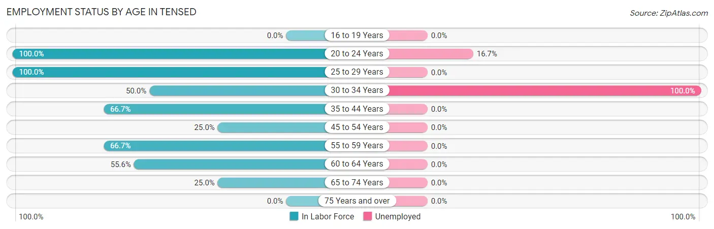 Employment Status by Age in Tensed